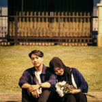 Galerii-7